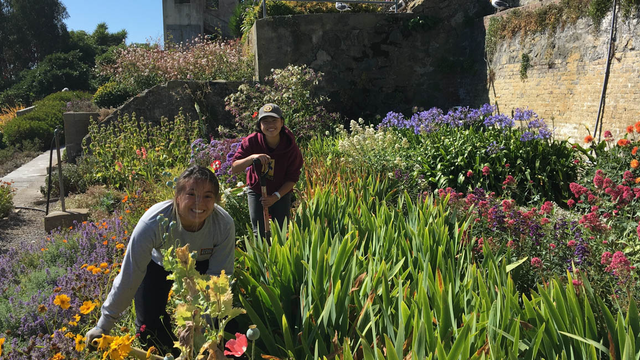Alcatraz Historic Gardens Volunteers