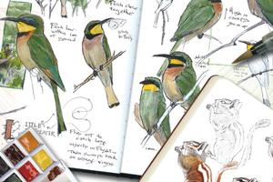 Nature Journal Club