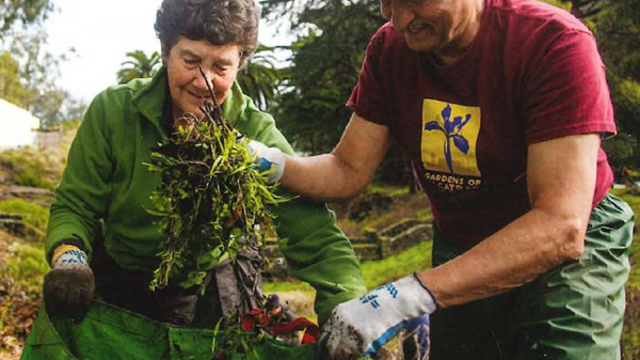 Two park stewards at work in the Presidio
