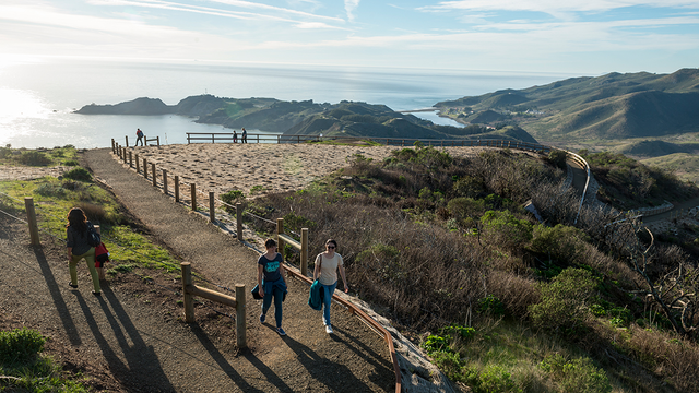 Hawk Hill
