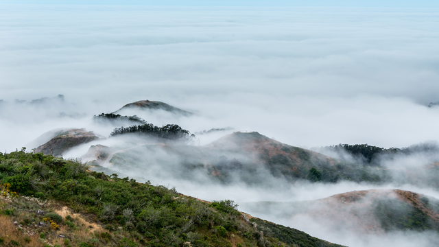 Fog in Marin Headlands