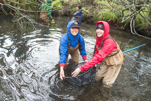 Parks Conservancy staff help release coho salmon at Redwood Creek