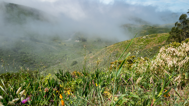 Marin Headlands  