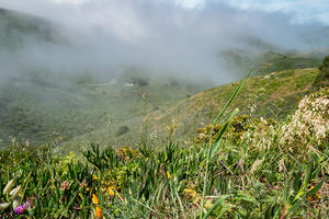 Marin Headlands  