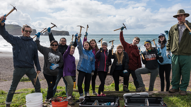 Volunteers at work
