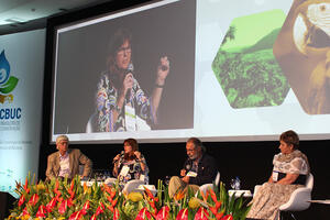 Parks Conservancy Director Sue Gardner presents at a plenary session of the Eighth Brazilian Congress on Protected Areas