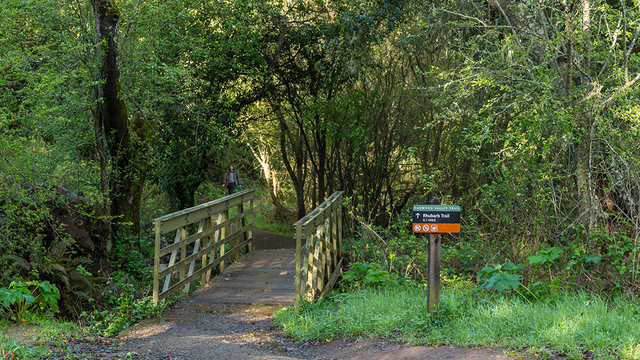 Oakwood Valley
