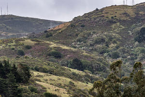 Oakwood Valley