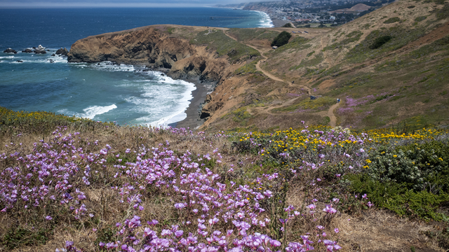 Mori Point