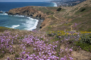 Mori Point