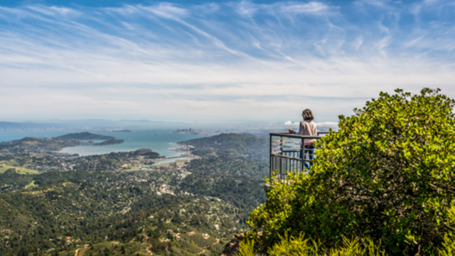 A hiker looks out over the bay from Mount Tamalpais East Peak.