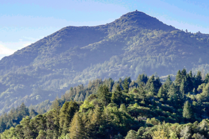 Mount Tamalpais