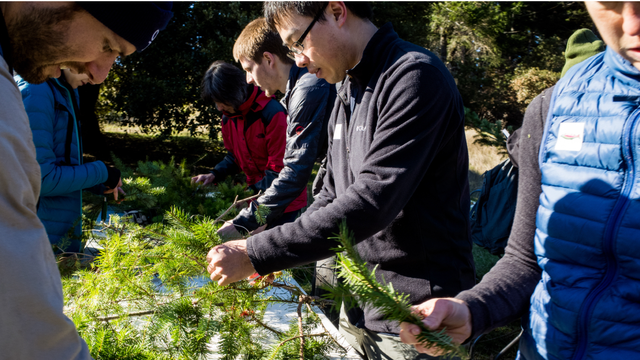 Creating wreaths from nature
