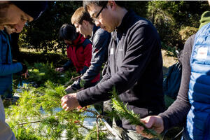 Creating wreaths from nature
