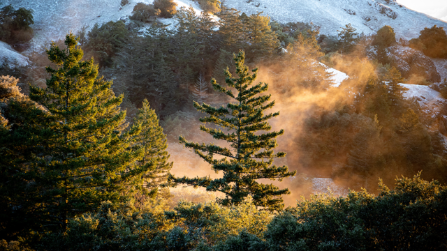 A light dusting of snow on Mt. Tamalpais