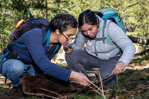 Two people examining a branch at a BioBlitz event.