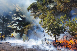 Prescribed burn on Mt. Tamalpais