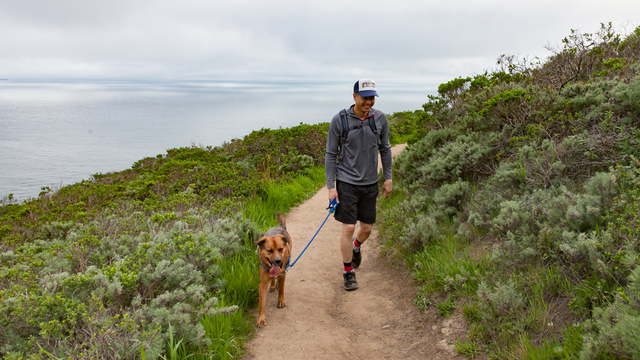 Hiking with dog