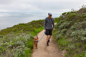 Hiking with dog