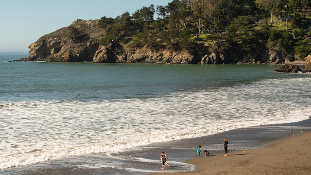 Children play at the waters edge while a parent watches at Muir Beach. Tree covered mountains are seen jutting out into the ocean just off in the distance.