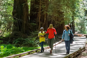 People walk among the redwood trees in Muir Woods.