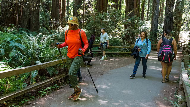 hiking at Muir Woods