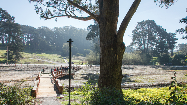 New “boardwalk” above the restored wetland