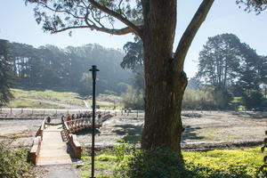 New “boardwalk” above the restored wetland