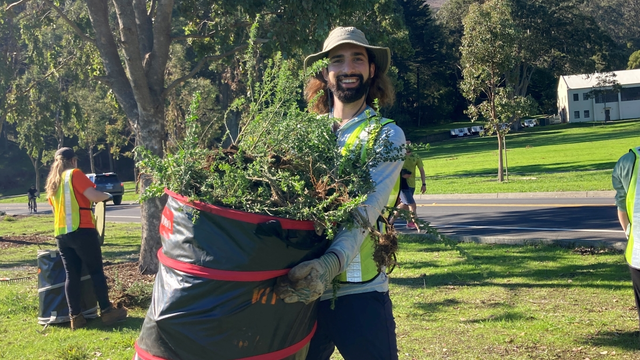Volunteers removing invasive plants at the historic Fort Baker.