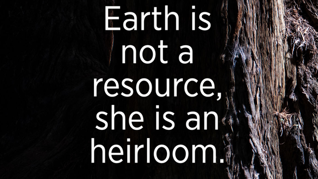 "If we build a society based on honoring the earth, we build a society which is sustainable, and has the capacity to support all life forms." - Winona LaDuke 