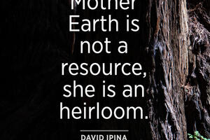 "If we build a society based on honoring the earth, we build a society which is sustainable, and has the capacity to support all life forms." - Winona LaDuke 