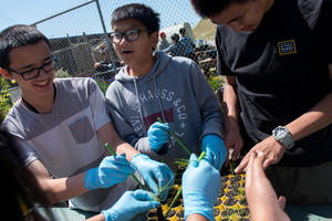 Nursery program at Oceana High School in Pacifica