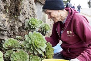 Volunteering at Alcatraz Historic Gardens