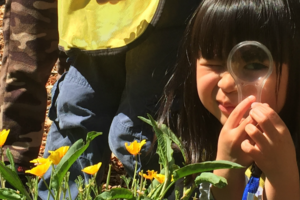 A child looks through a magnifying glass at a nurseries education program.