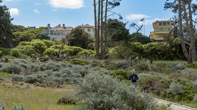 Jogger on Lobos Creek boardwalk