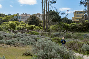 Jogger on Lobos Creek boardwalk