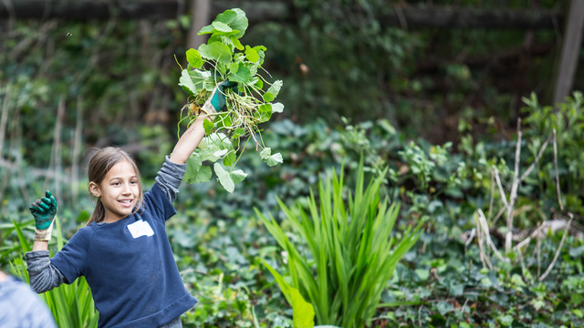 Enthusiastic Volunteer in the Presidio