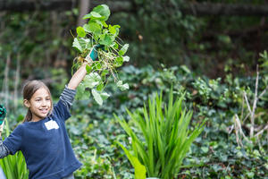 Enthusiastic Volunteer in the Presidio