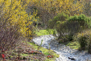 El Polín Spring