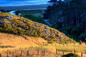 Dias Ridge Trail