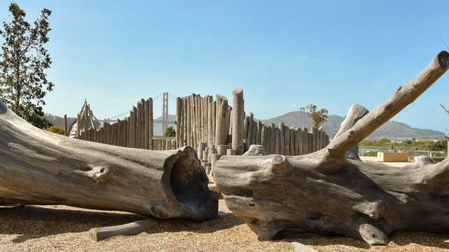 Fallen tree play element at Outpost