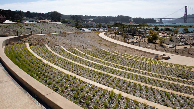 Built into the hillside, Presidio Steps face the Golden Gate Bridge. 
