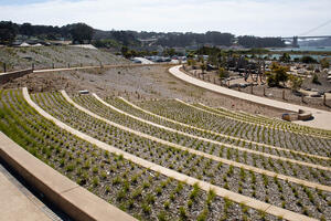 Built into the hillside, Presidio Steps face the Golden Gate Bridge. 