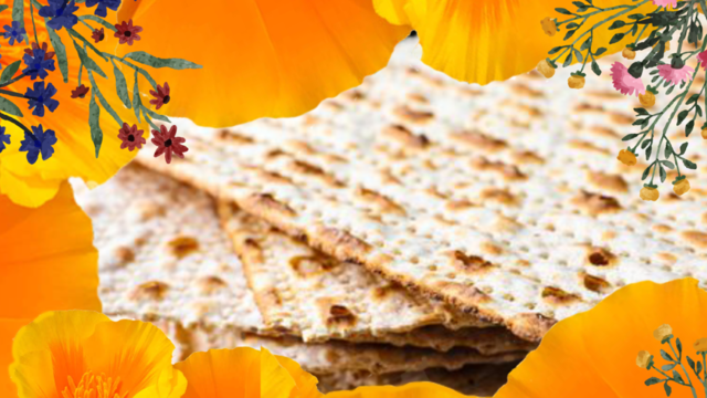 A festive Passover image