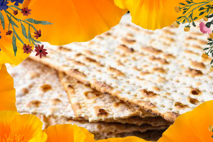 A festive Passover image