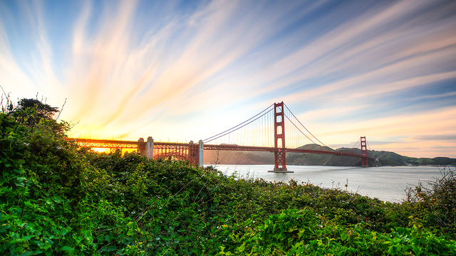 Shot of Golden Gate Bridge from Crissy Field Area