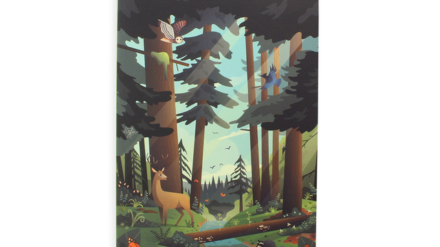 Redwood forest journal.