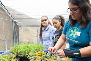 Students check on plants at the Oceana High School Nursery