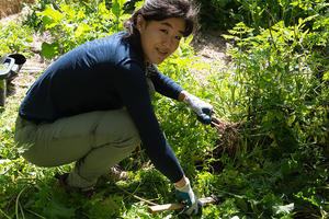 Weeding, gardening