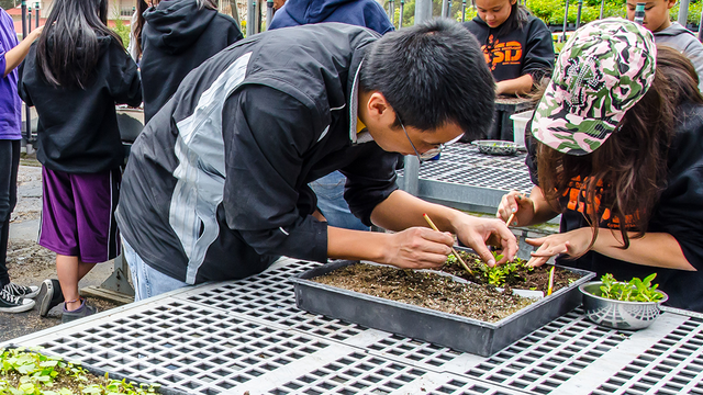 Nursery volunteers